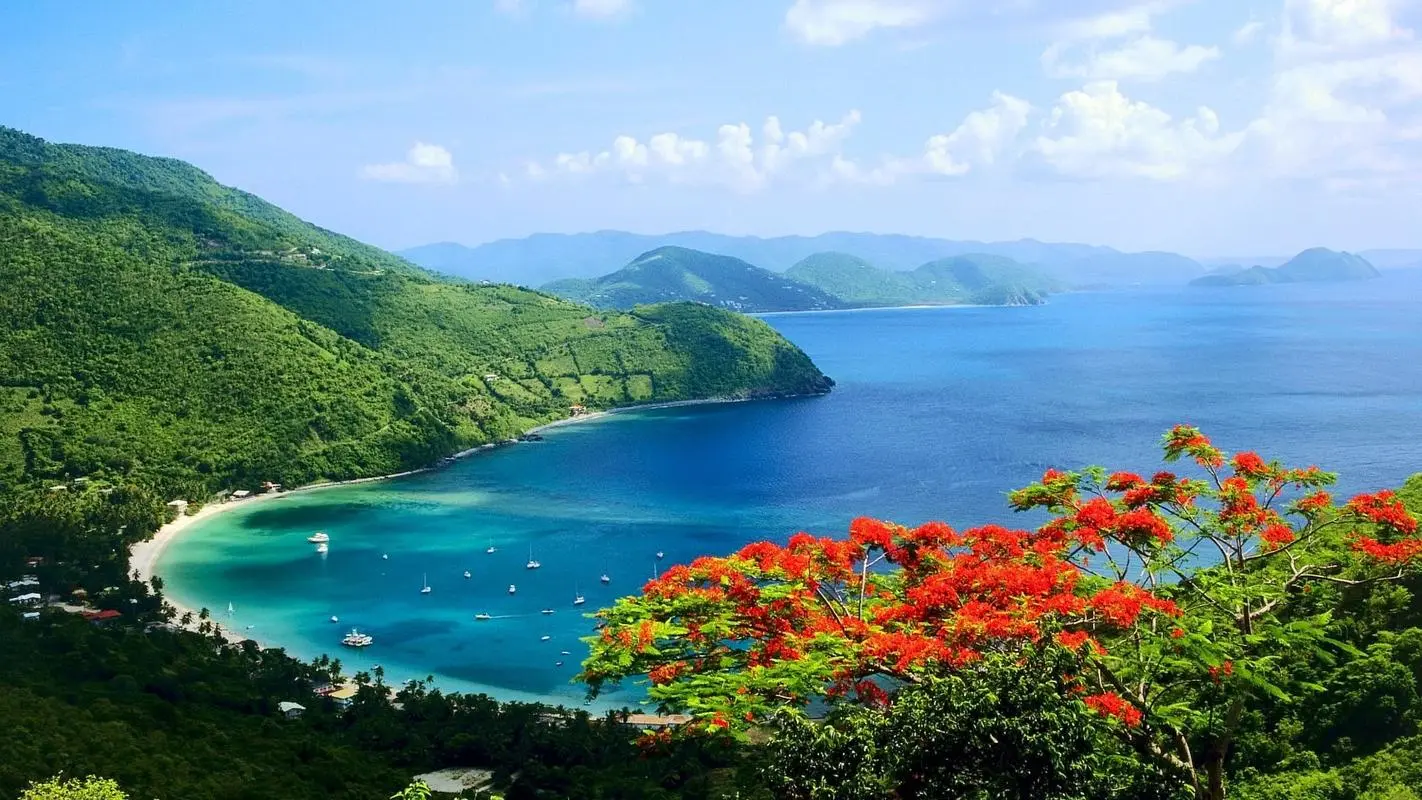 高性能自动化高质量
